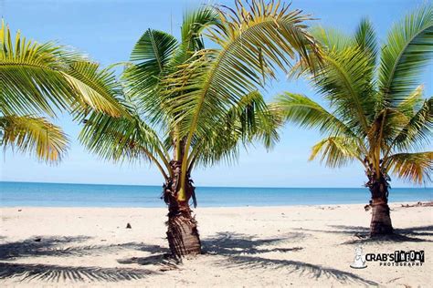 THE 5 BEST Things to Do in Dasol (2024) .